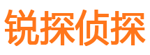 江孜找人公司